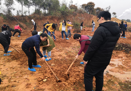 1553585439626062372.png image.png