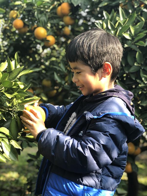 1544522344452002010.png QQ图片20181211175147_副本.png