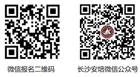 1709361691425046542.png 烟花.png