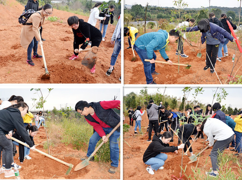 1520748893020016330.jpg 1520748893020016330.jpg