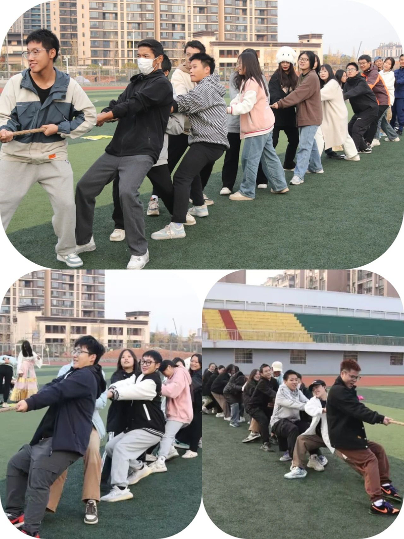 1702884052809066205.jpg d3041ef5064bf414e5033bd2e2ed838a.jpg